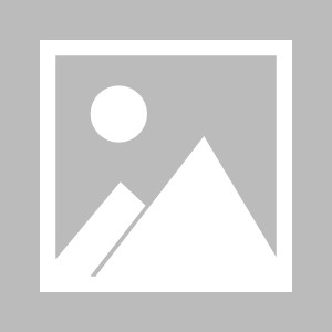 九游app官方下载-意甲联赛中一名老将球员宣布退役，意甲最后几名降级